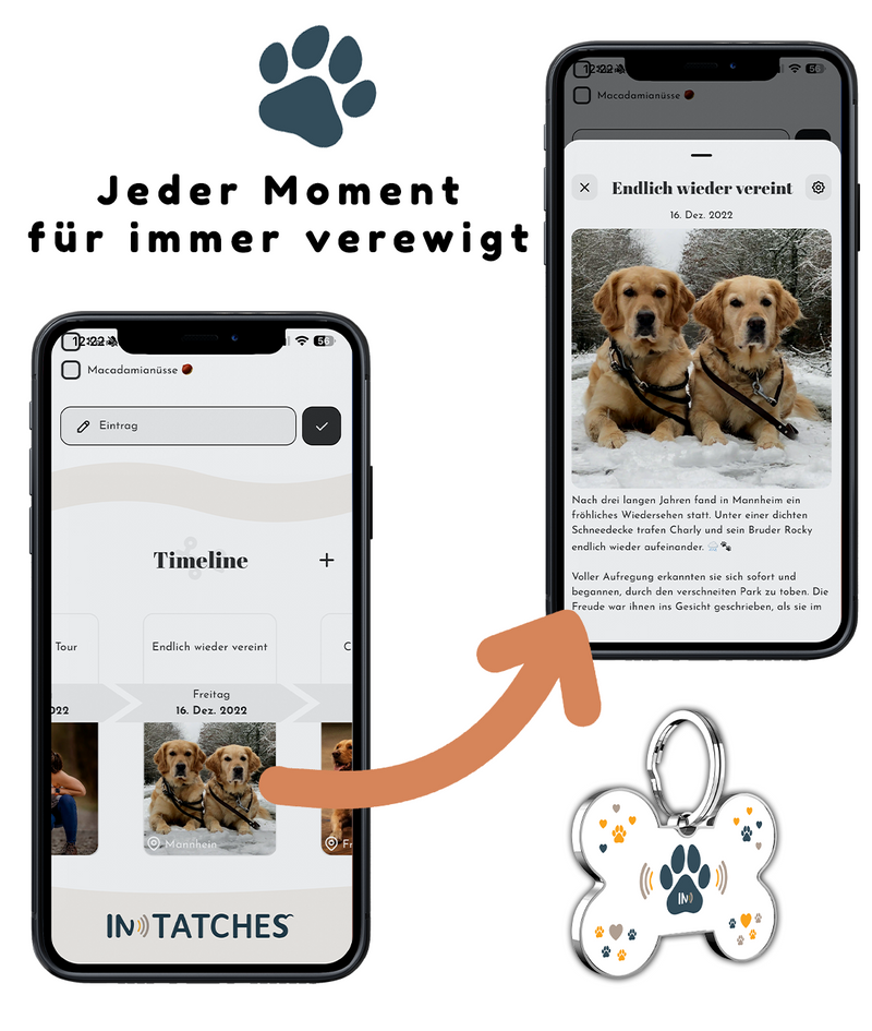 0 Knochen / 1 Rund